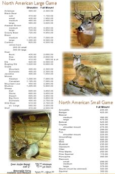 Taxidermy industry statistics picture